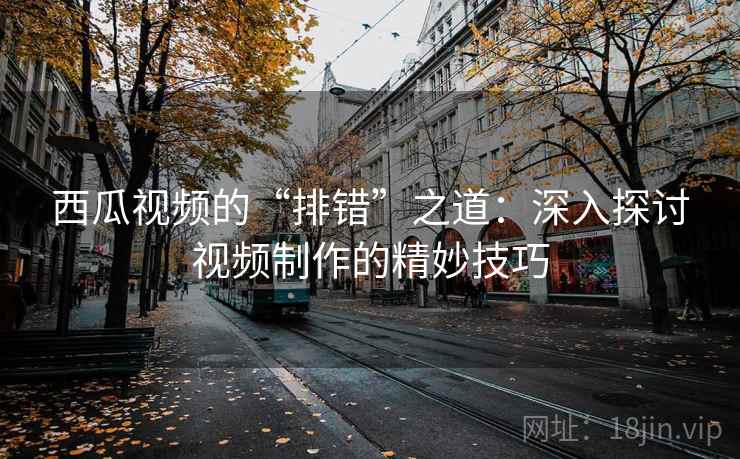 西瓜视频的“排错”之道：深入探讨视频制作的精妙技巧